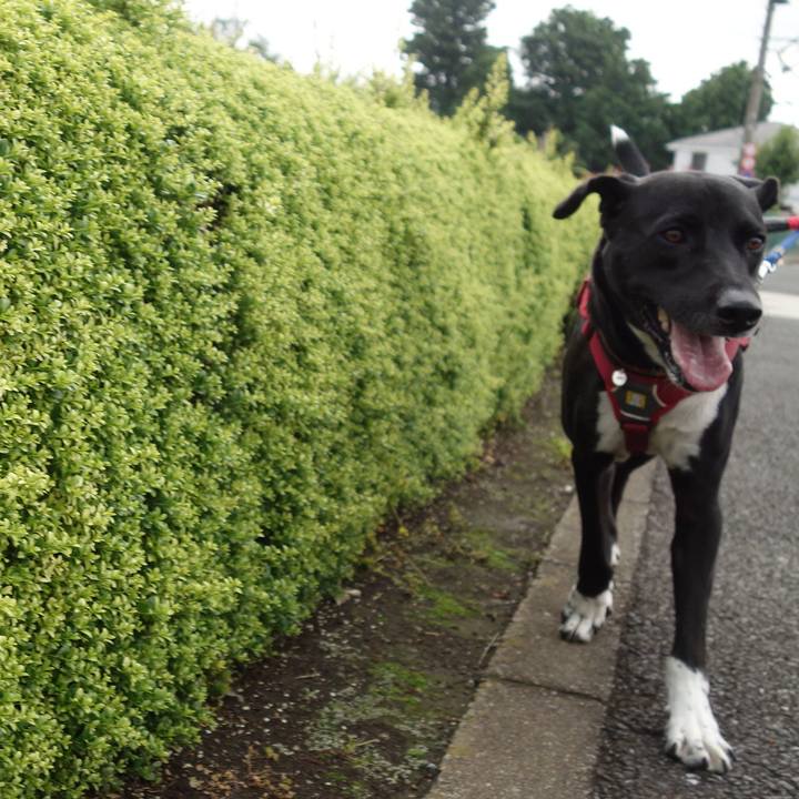 77cd07ce d417 47ca b52b d82e0f371243 1590194813181