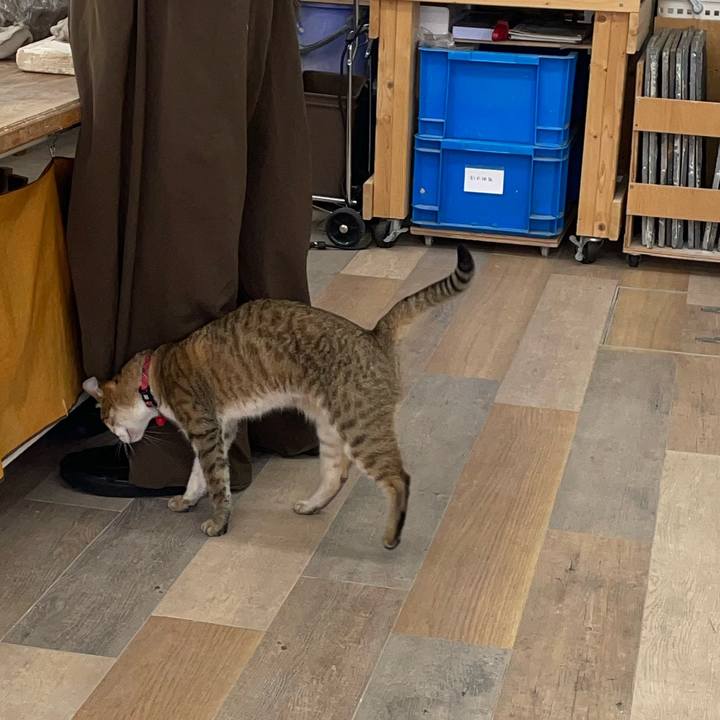 77cd336d a521 4408 b751 92797a7124d2 1749974141203