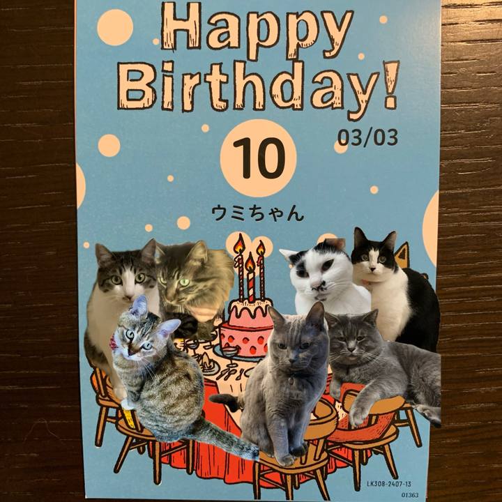 77cd599c 2fb0 43b1 beef ca24abbfba5d 1740971998329