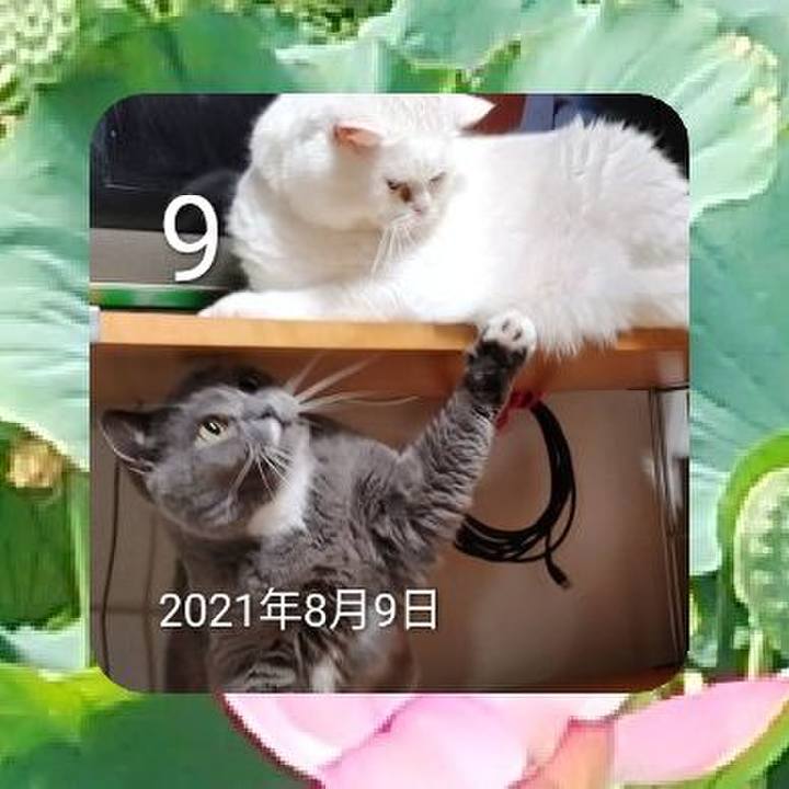 77cd6930 e916 40e3 b564 db1bc7359c54 1660053738632