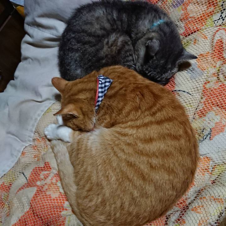 77cd7721 b789 49ae 8d3c a52bcd8c6618 1568899372077