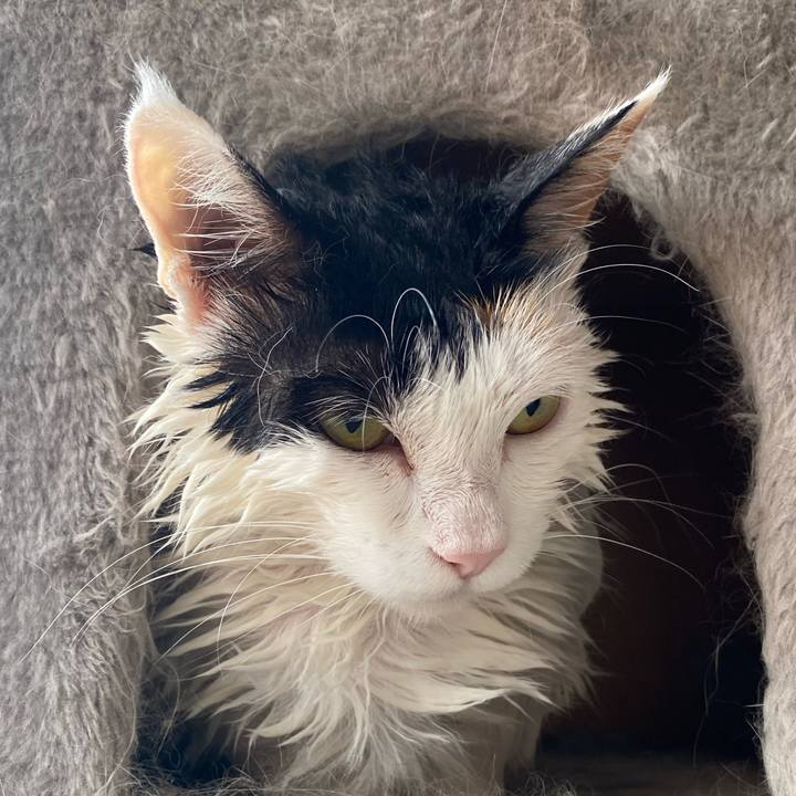 77cd9949 2498 4ea0 8564 ae90f94e7660 1717909879806