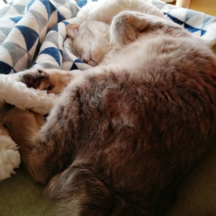 77cdd421 cdb1 48a9 bbd5 731a7fe16d1b 1552033189504