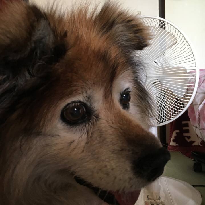 77ce082b 850f 4b1c 862d 566c398a7b0e 1608269385249