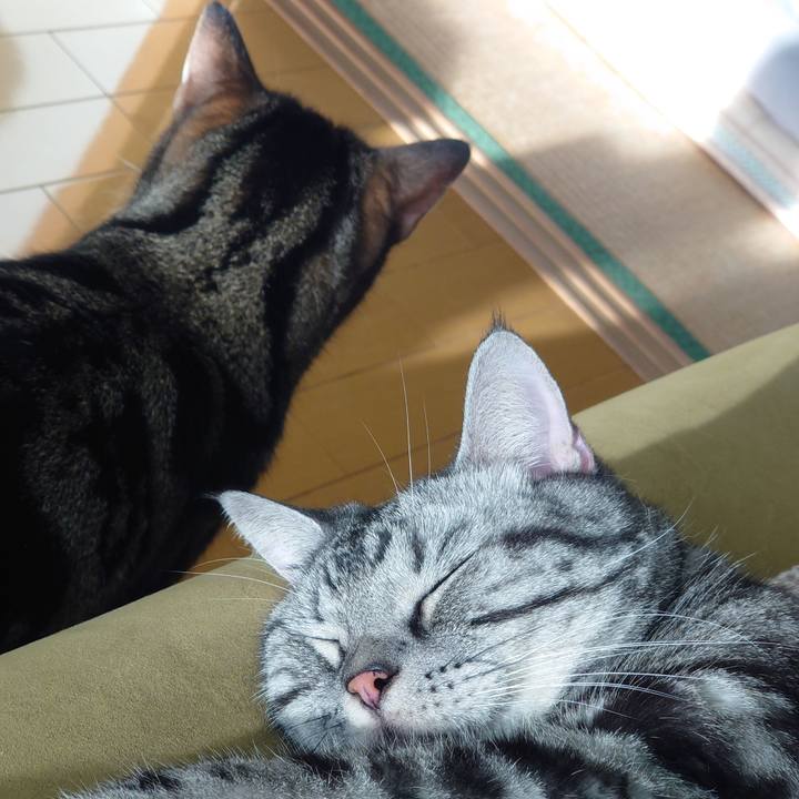 77ce8af8 d175 4be6 9e77 9a9afb0f4345 1668838245970