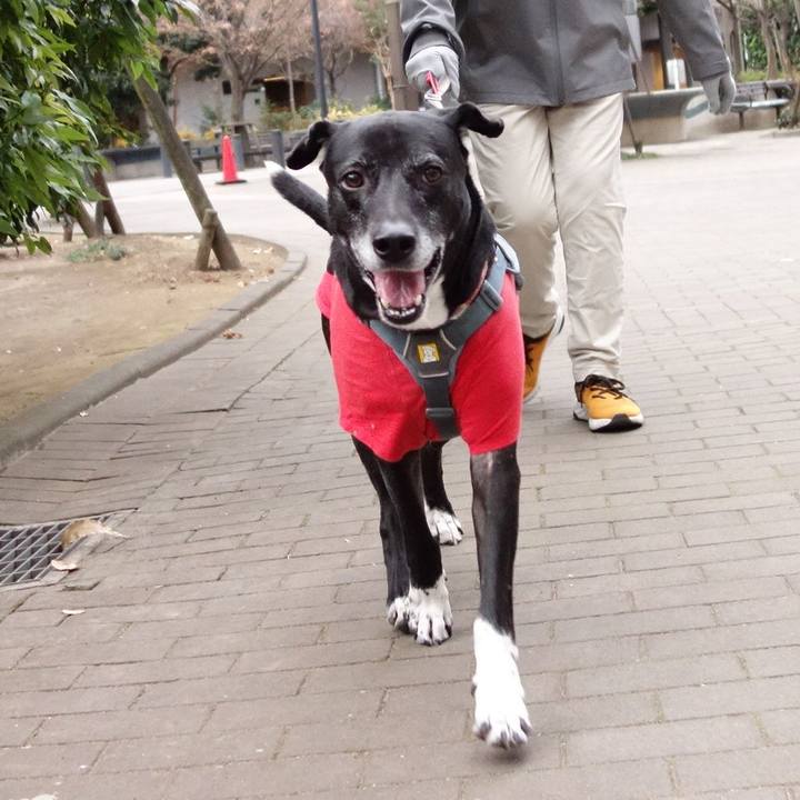 77ce9c42 039b 4a0d 8106 4252e45baa0e 1736129744290