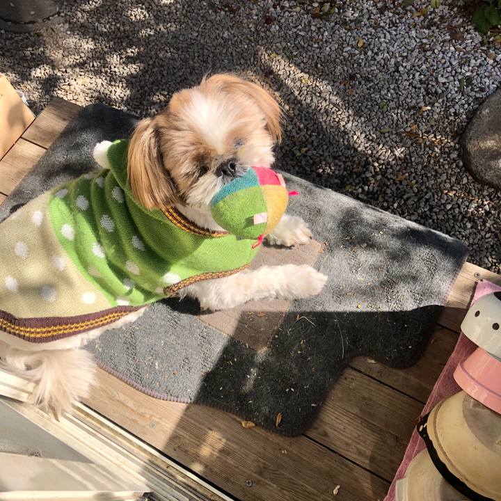 77ceb536 cb2a 4ed7 a68a f5b24f1aeda0 1581150724736