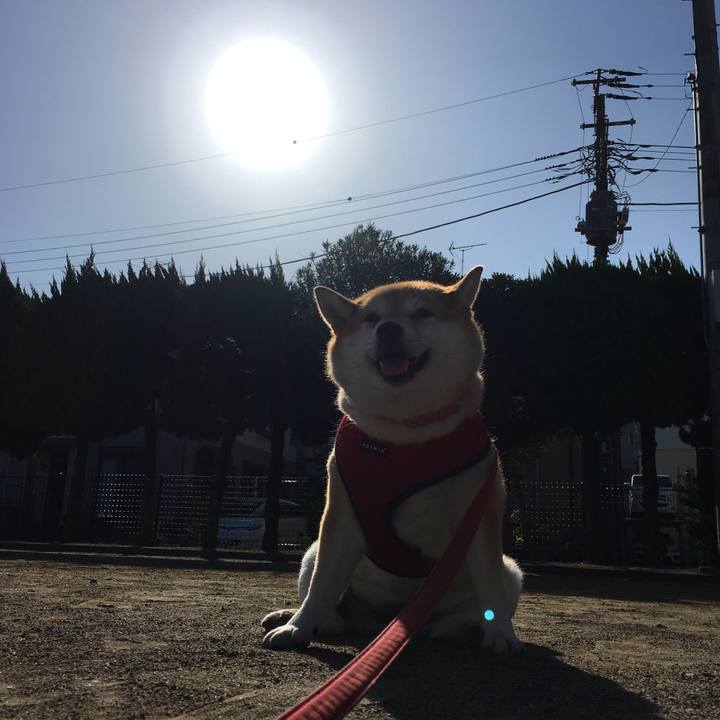 77ceb91a 21ed 4eea a787 152487653981 1602029243691