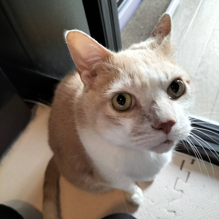 77ced418 ce59 4508 abb9 e8fe8107cd7e 1645481330584