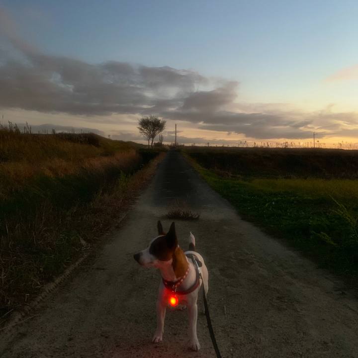 77cee622 c9fc 4b0e b5d1 75ce2cd3aa70 1541151724147