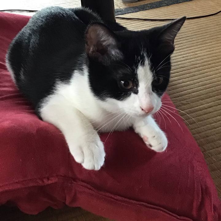 77cf1103 8799 458d b28e c20b6931cf0a 1628397406632