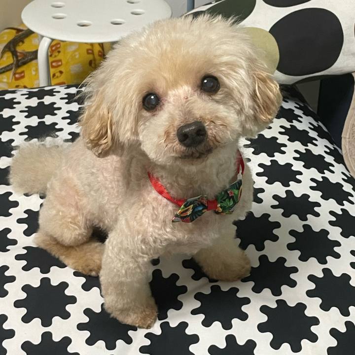 77cf141e 1200 4b24 91c2 bd1acc841762 1689414012392