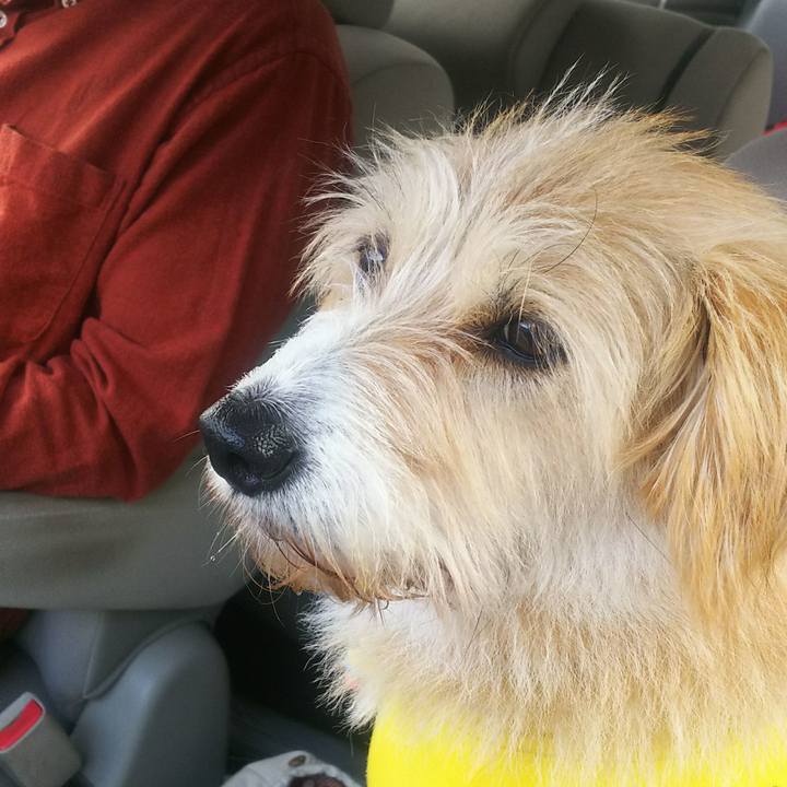 77cf40de 9bab 4c6c ba02 89968ce9e410 1509756657997