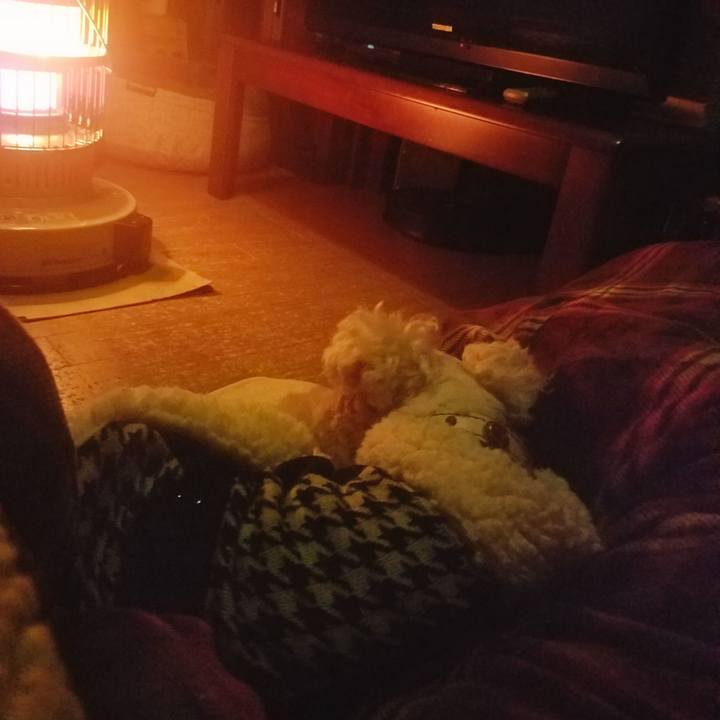 77cf786c e091 47de 973f 7d437b7708a5 1546496947827