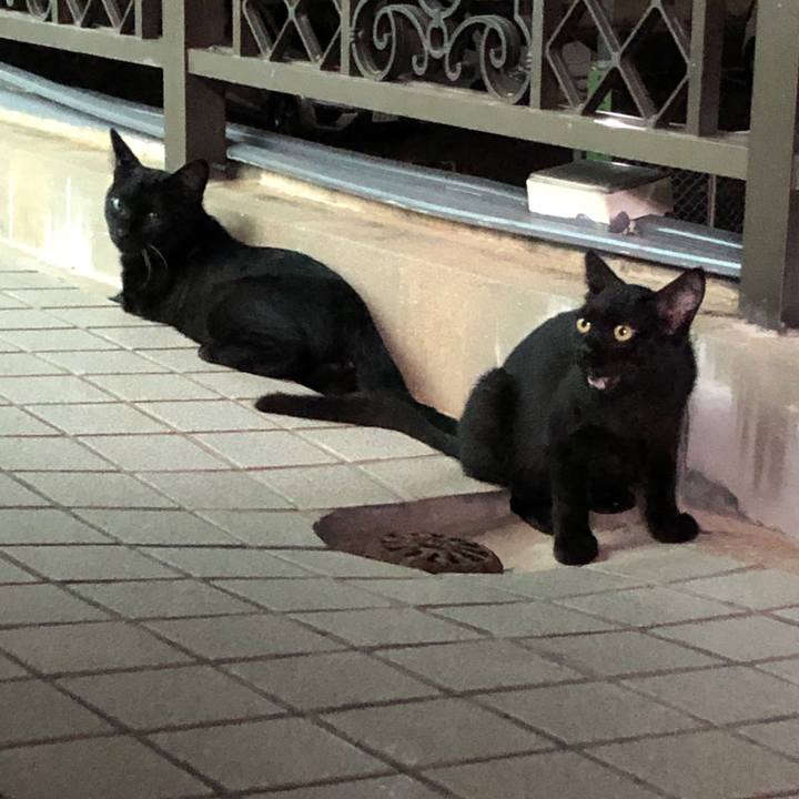 77cfaff6 2b69 47a2 9cc2 87e230438618 1630924749944