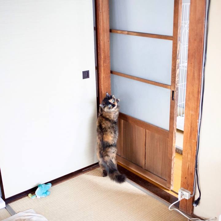 77cfbc4e 6465 46f5 b008 a4da15540561 1605163154966