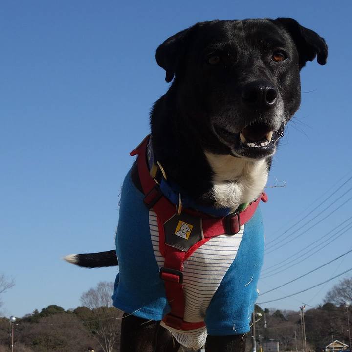 77d01bfe 5293 4882 be2f cd2dc1f5b25c 1677890815994