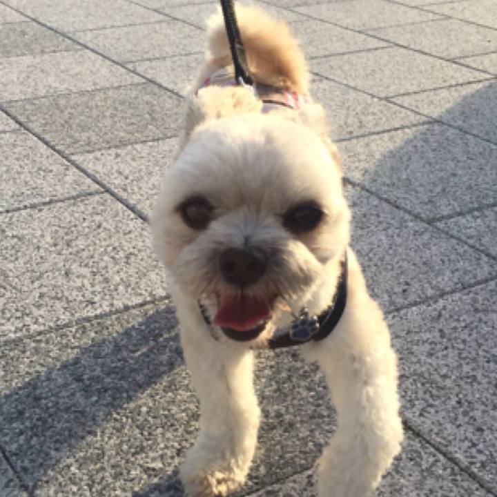 77d050aa d096 4b33 bd99 d994c2121fe6 1530534671503