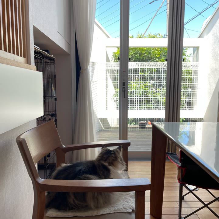 77d083e2 5816 4cbb aca3 1be2b7e8a481 1684887717204