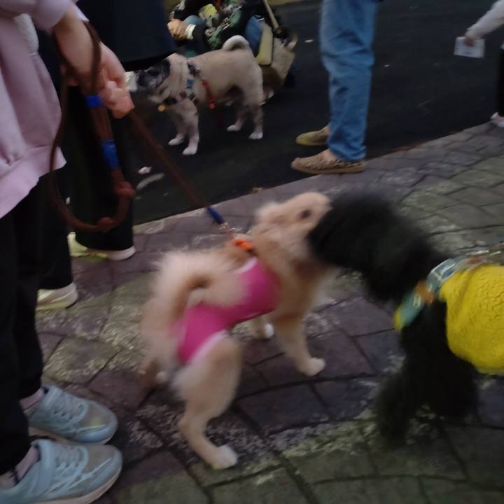 77d09276 7c37 4593 8cec 630df21c5d14 1730936943789