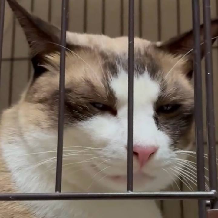 77d0a9c1 fc09 43d0 b27f 080b9677927f 1757019161335