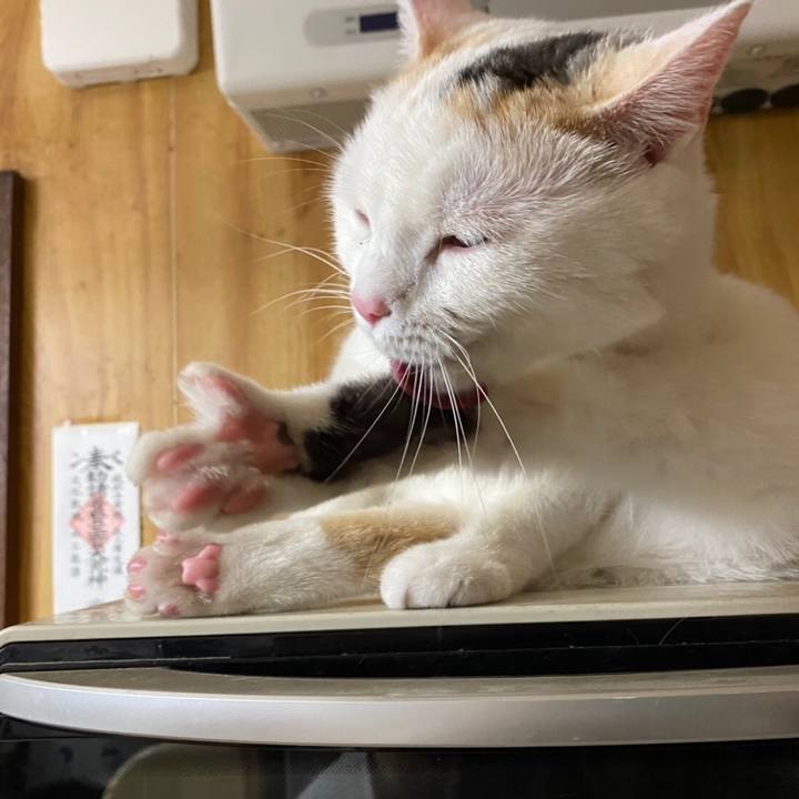 77d0af80 a82f 454d a9fb c611309aee48 1613944399534