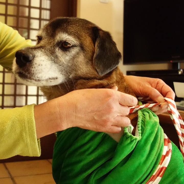 77d0cbda b91a 4fee 91fa 2e08023d058a 1766641160651