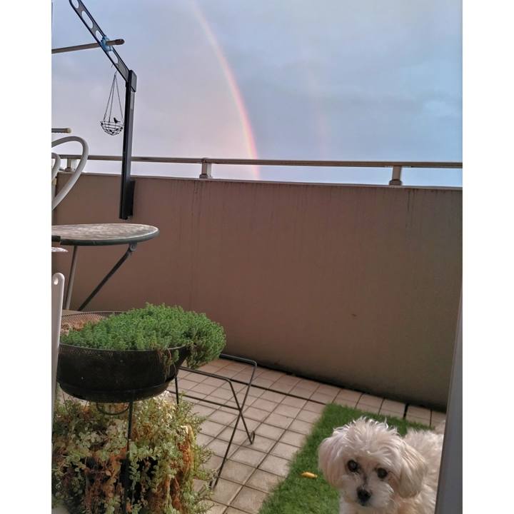 77d0e8f2 886c 4ccd b59c d19f22ad761a 1717414980592