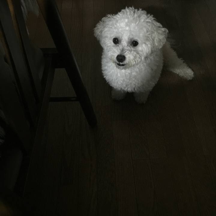 77d0f02c 463e 4d6f ac50 d69bc08fe544 1532006100493