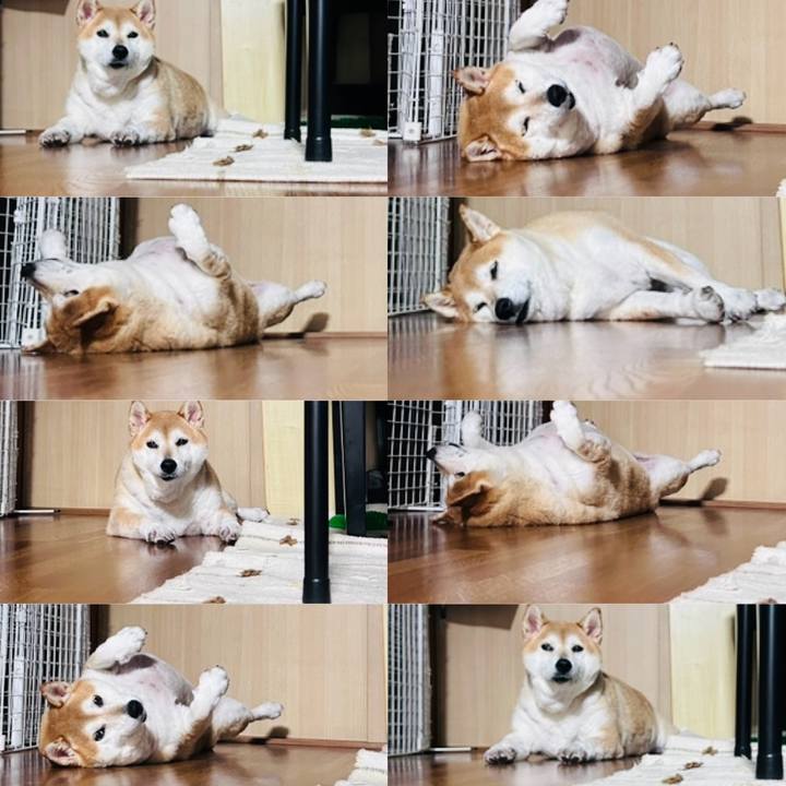 77d0f22d db50 4197 9530 e3c802842f05 1726411125871