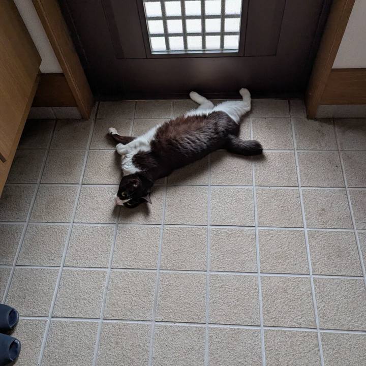 77d105eb 7224 471c 882f fde564dfe361 1753613225591