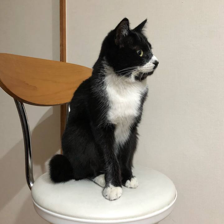 77d124a1 60c6 42c7 96fb c82d29e35525 1517542359418