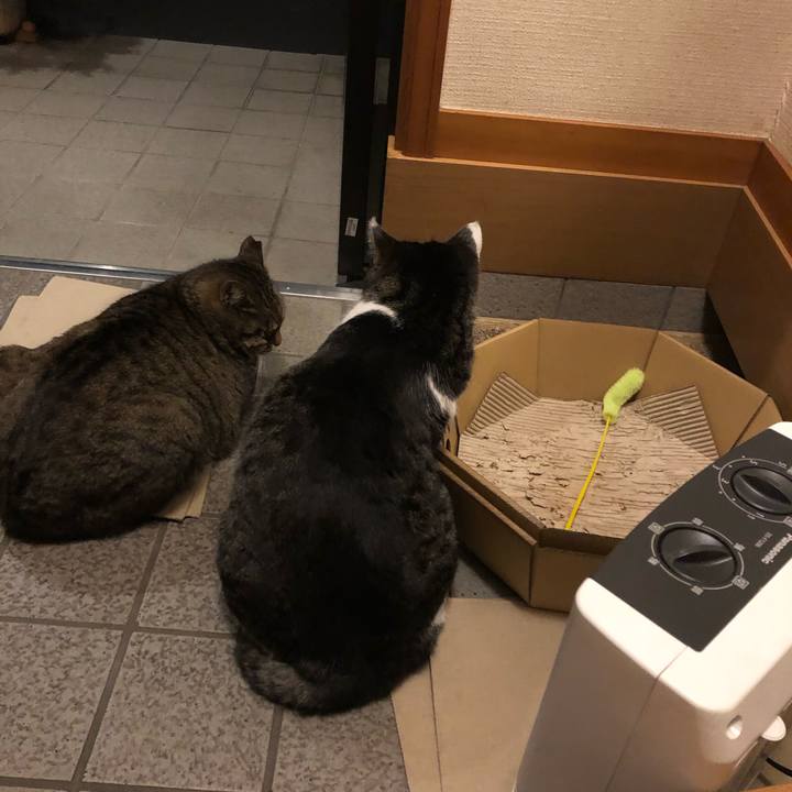 77d19216 ec14 4aec 83bd 0bfd31cf7af1 1580988935415