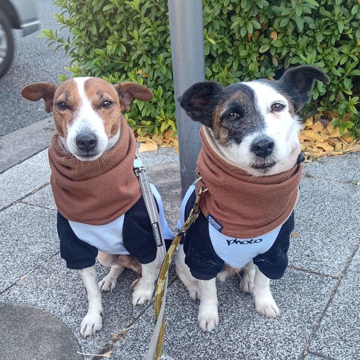 77d1a368 10e5 4ada 8912 e8d74817c5e5 1703458746165