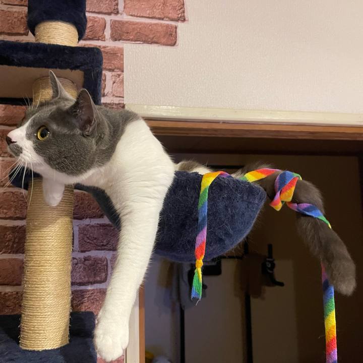 77d1e52f 57f5 4ed6 ad90 f45a67ef3dc5 1657717658170