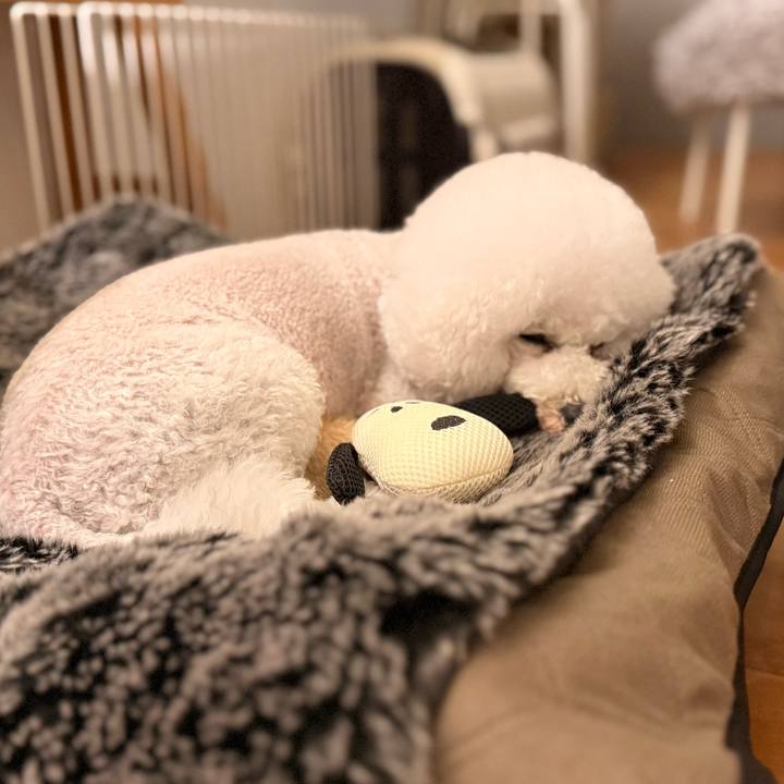 77d21354 3237 4b24 99e4 3e641b1c5836 1769334165955