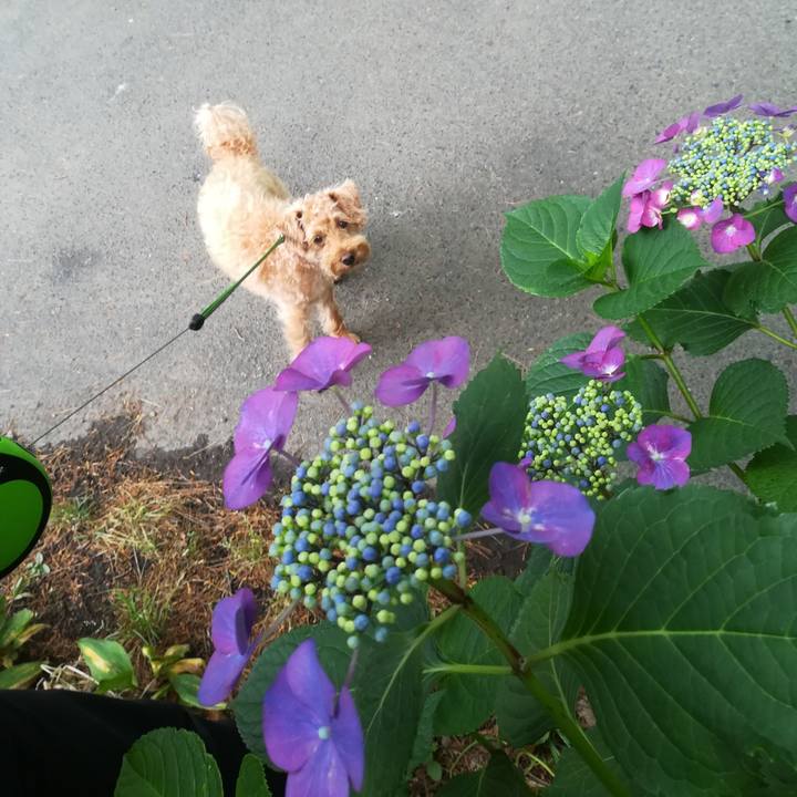 77d2267d 8cba 40fe 85cb 284ac2db619d 1563093766793