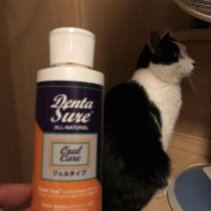 77d24d2f 17be 4e04 b99f 21a6e6edd340 1576659880074