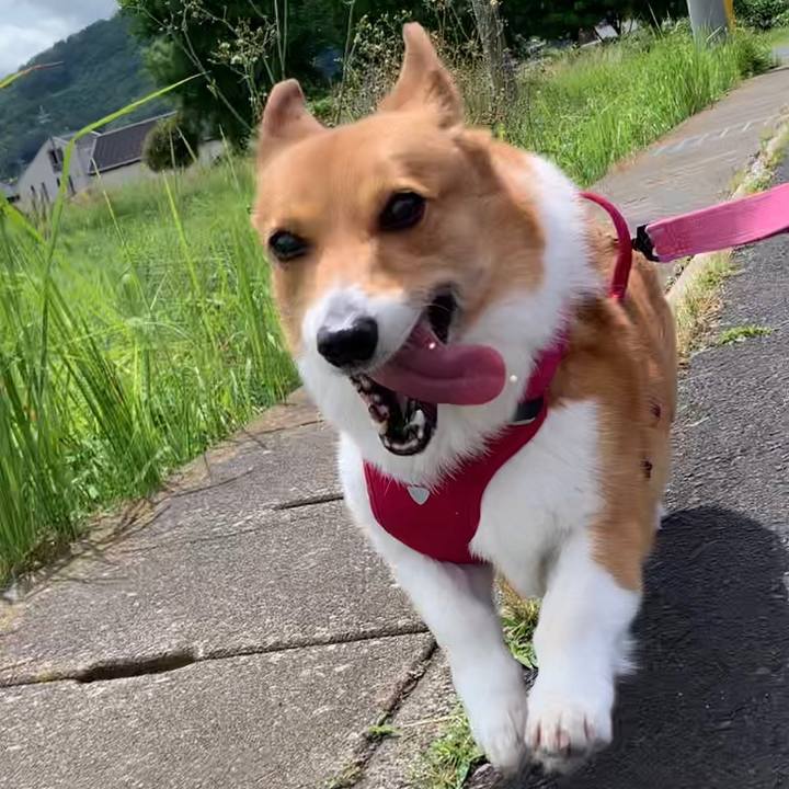 77d2a33b 6d11 4954 962c 1bd2990d71e1 1653640203443