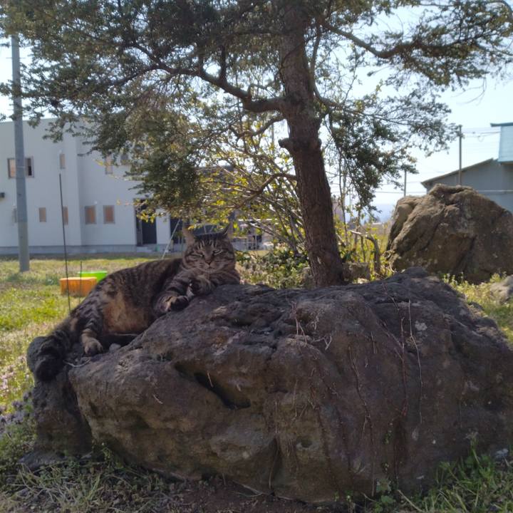 77d2f732 0356 4ee5 b31d 07a622ec3542 1713085854021