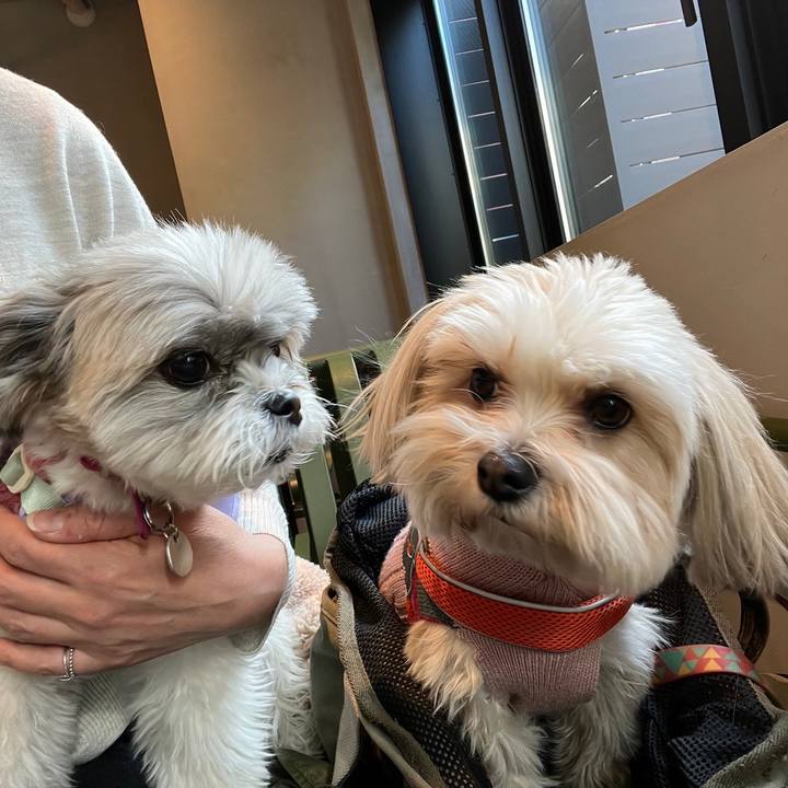 77d31dc9 9ce4 4cd1 a8f3 baa9b17cec83 1675336917145