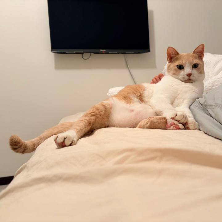 77d33afa 6eb8 4f78 a51a cf59adf316ae 1761477906969