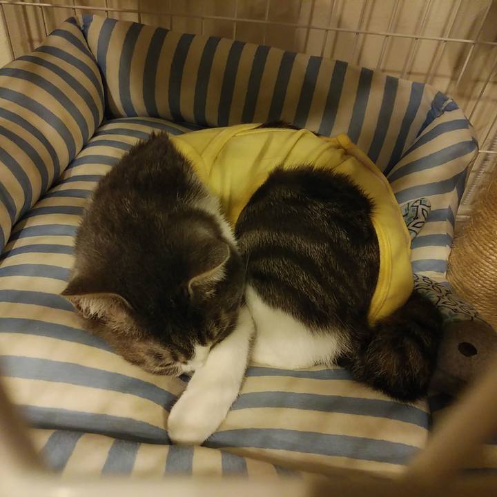 77d36318 9d49 4b0b 900e 22d7077030f9 1585154047527