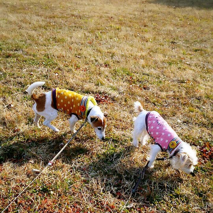 77d39c1e 5326 40be 8f1c 8c879631a52c 1518432116791