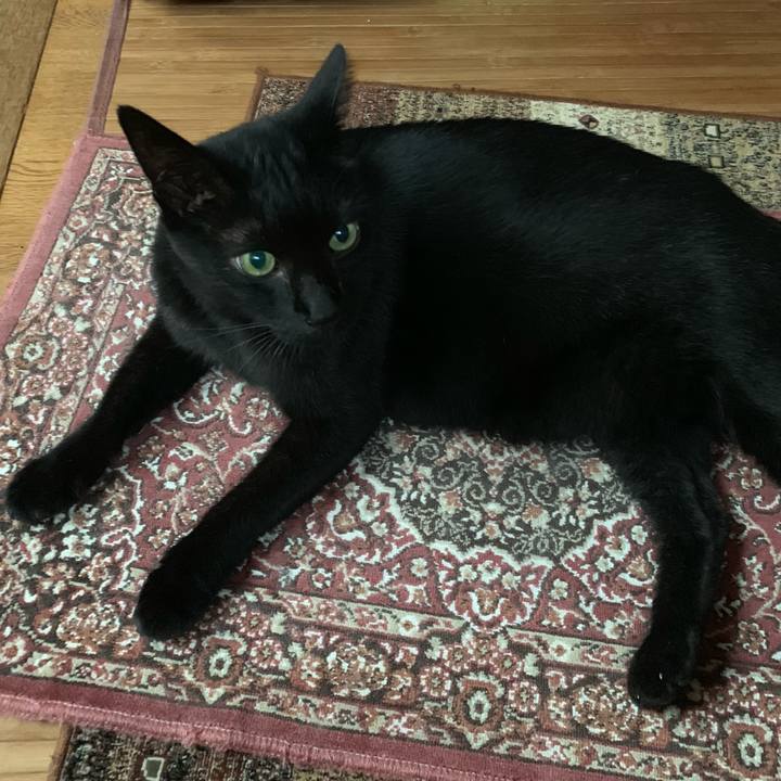 77d3d04b 4098 4fe8 88f5 9e54f54d0469 1570496983189