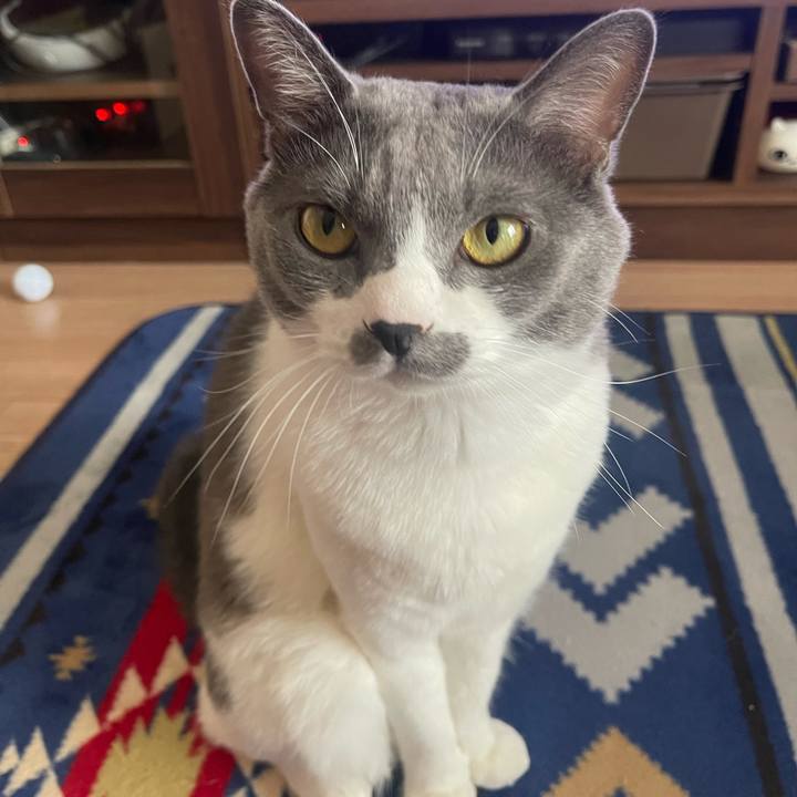 77d406d3 7f0d 49e9 8a6c b07451d6b13d 1664865272581