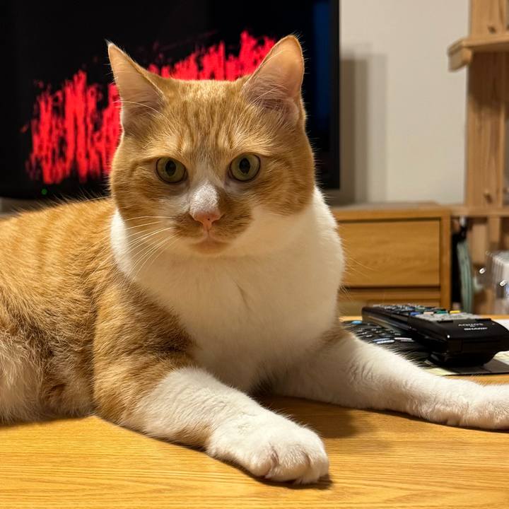 77d4074e 130d 43e5 8347 d1ad4c9c10cc 1767698699885