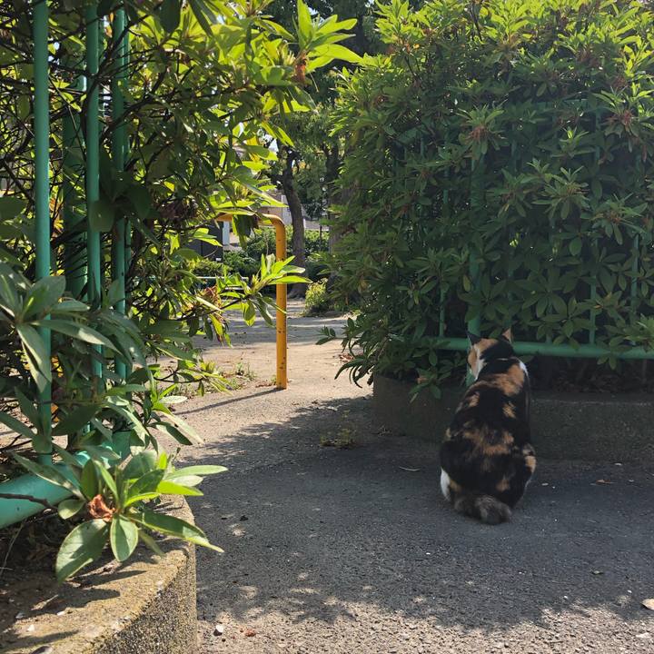 77d417fd 3c5c 4094 bc11 35f8d220bf08 1560603314256