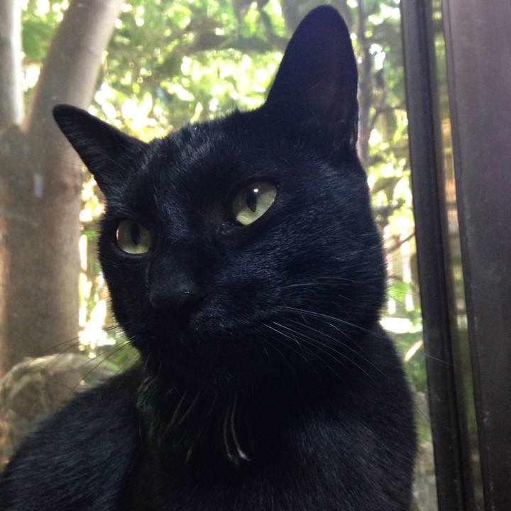 77d42372 0a9e 40f6 9cac f10113c3dca6 1509006555964