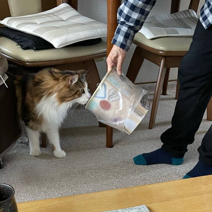 77d4257d 788a 4f1a b79d 76b70cf8c3d8 1668912222498